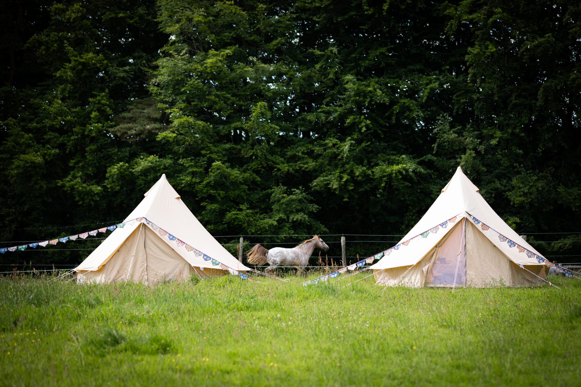 Garden Marquee wedding